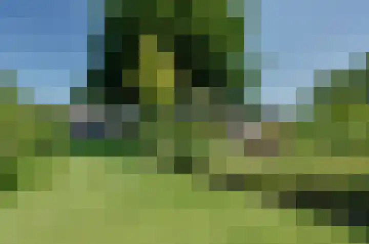 Nijewei 67 Harkema thumbnail 57