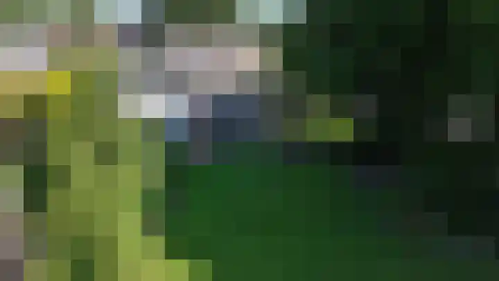 Nijewei 67 Harkema thumbnail 59