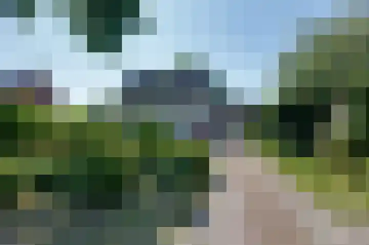 Nijewei 67 Harkema thumbnail 61