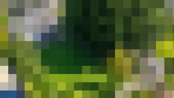 Nijewei 67 Harkema thumbnail 65