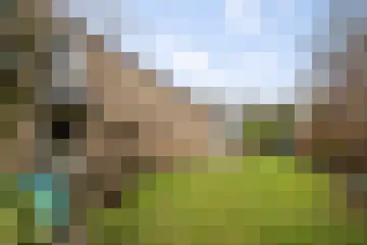 Nijhoffgaarde 183 Deventer thumbnail 27