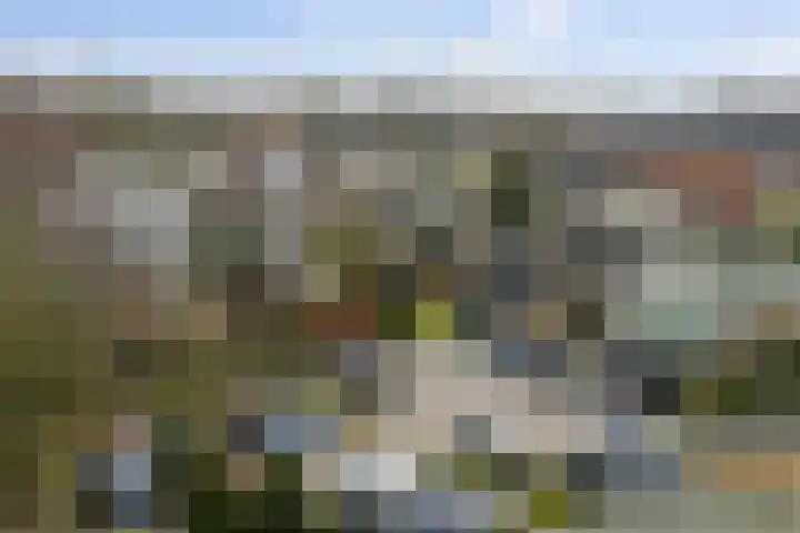 Nijhoffgaarde 183 Deventer thumbnail 31