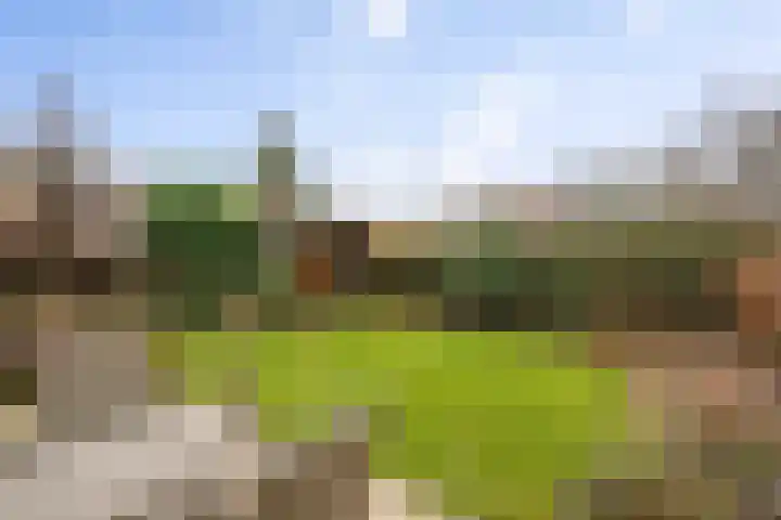 Nijhoffgaarde 183 Deventer thumbnail 4