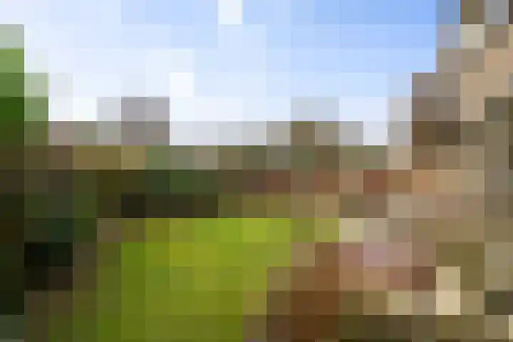 Nijhoffgaarde 183 Deventer thumbnail 5