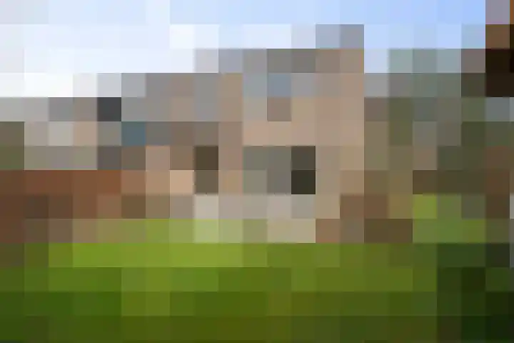 Nijhoffgaarde 183 Deventer thumbnail 6