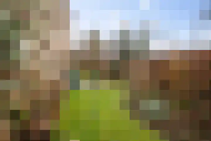 Nijhoffgaarde 183 Deventer thumbnail 7