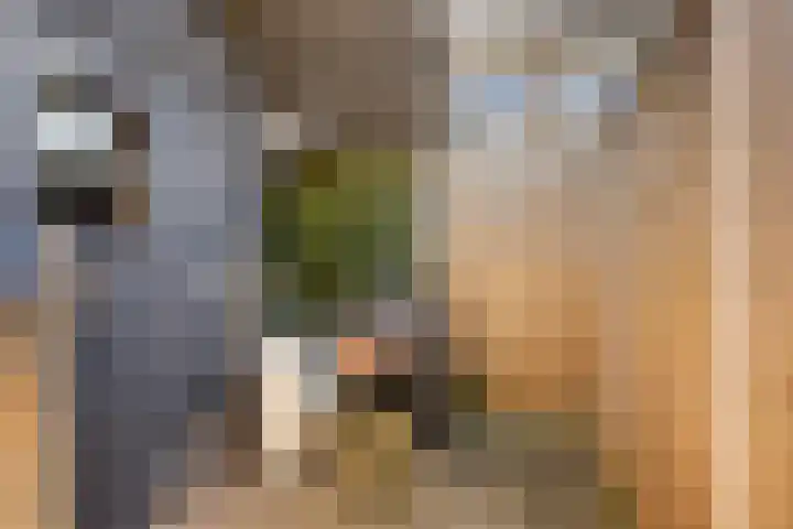 Nijhoffgaarde 32 Deventer thumbnail 12