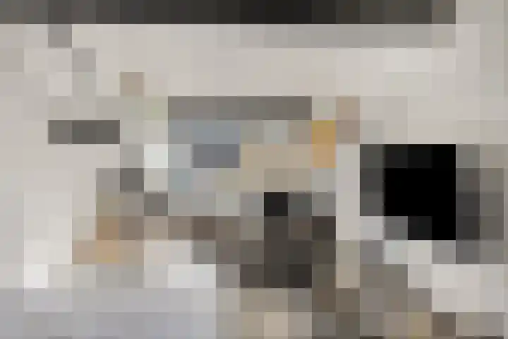 Nijhoffgaarde 32 Deventer thumbnail 22