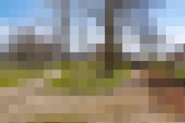 Nijhoffgaarde 32 Deventer thumbnail 24