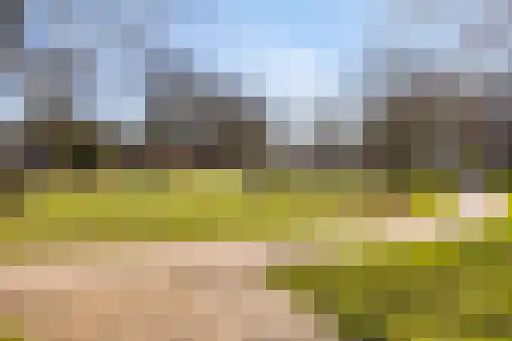 Nijhoffgaarde 32 Deventer thumbnail 25