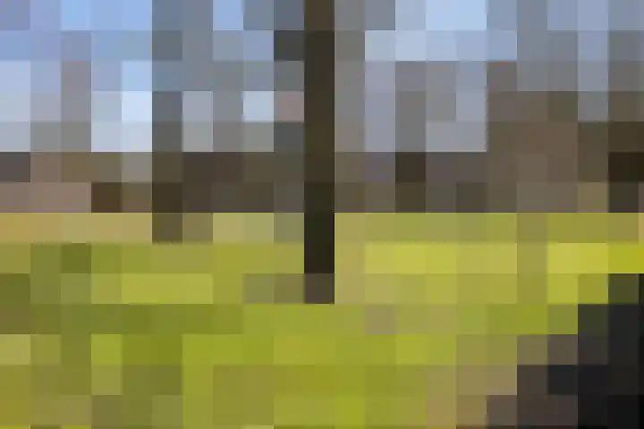 Nijhoffgaarde 32 Deventer thumbnail 26