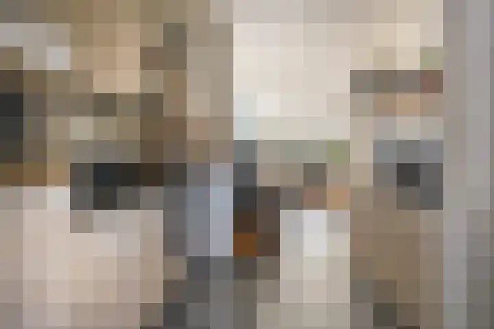 Nijhoffgaarde 32 Deventer thumbnail 7