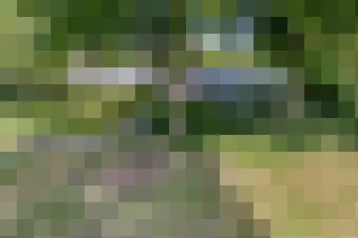 Nijhoffgaarde 70 Deventer thumbnail 26
