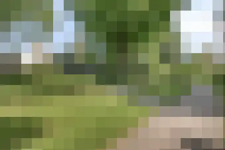 Nijhoffgaarde 70 Deventer thumbnail 27