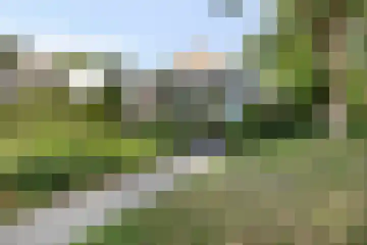 Nijhoffgaarde 70 Deventer thumbnail 28