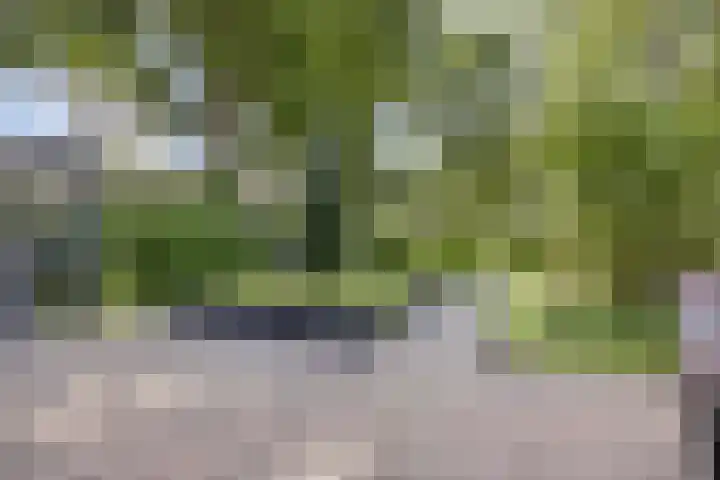 Nijhoffgaarde 70 Deventer thumbnail 32