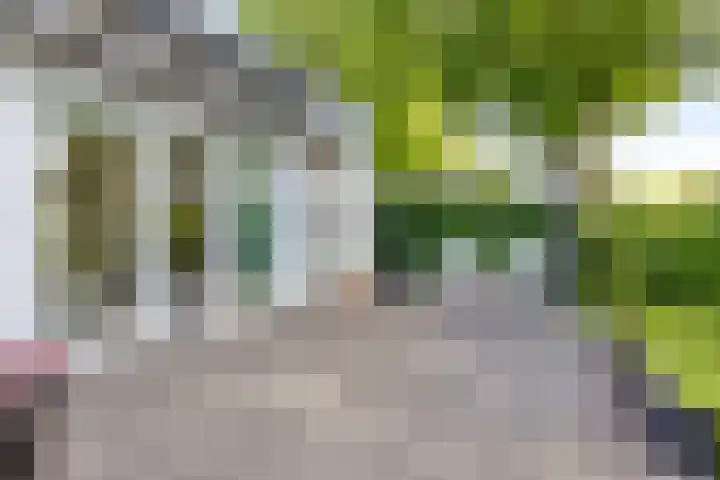 Nijhoffgaarde 70 Deventer thumbnail 34