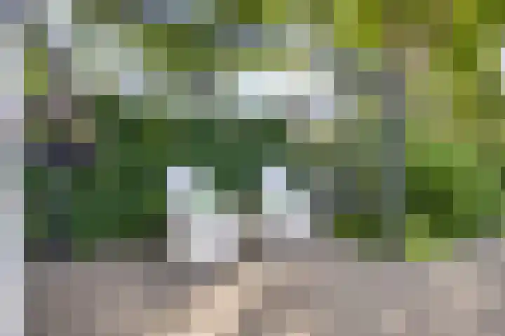 Nijhoffgaarde 70 Deventer thumbnail 35