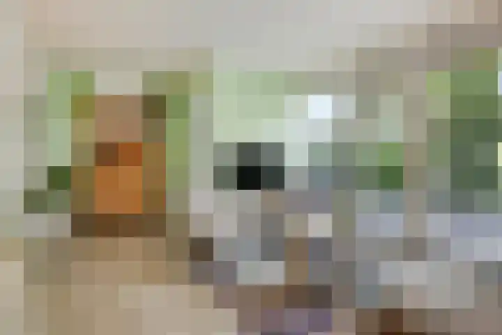 Nijhoffgaarde 70 Deventer thumbnail 5