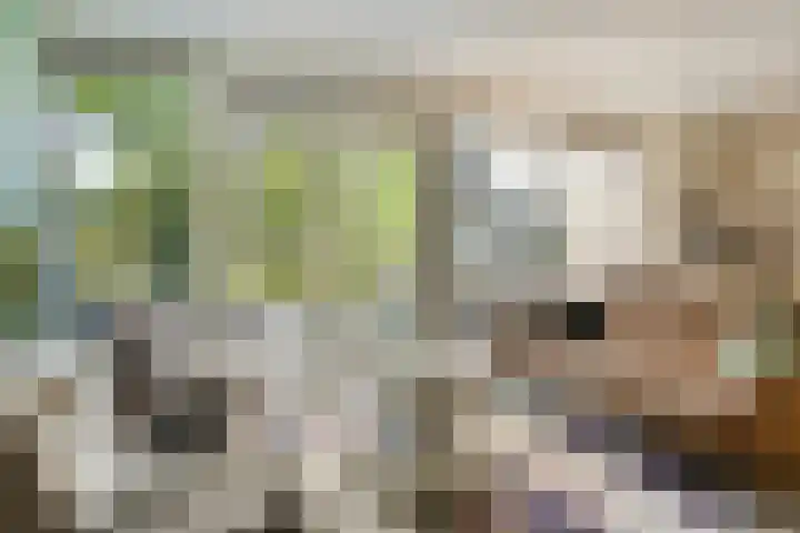 Nijhoffgaarde 70 Deventer thumbnail 6