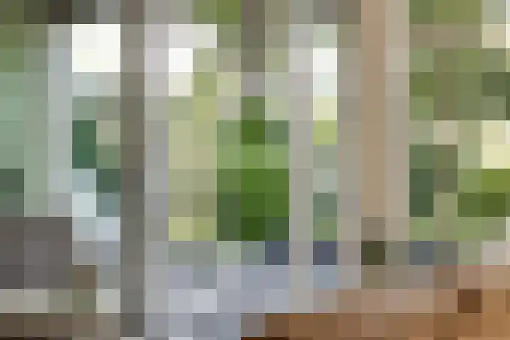 Nijhoffgaarde 70 Deventer thumbnail 7