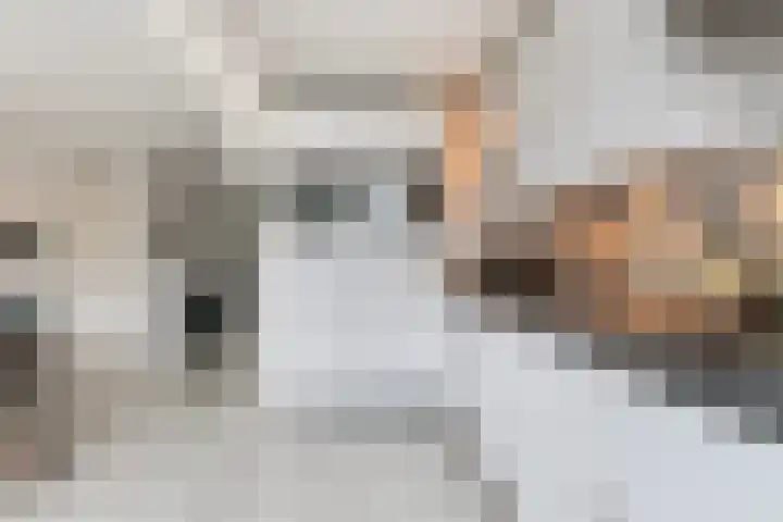 Nijhofflaan 124 Dordrecht thumbnail 12