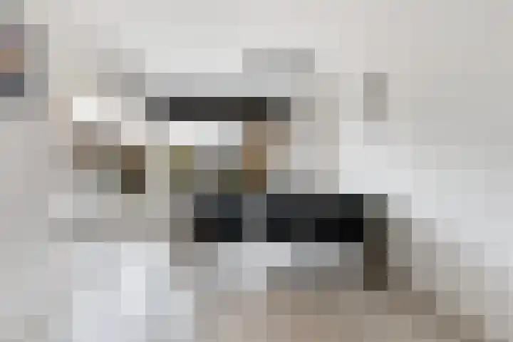 Nijhofflaan 124 Dordrecht thumbnail 7