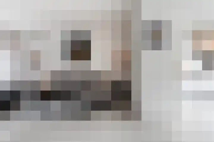 Nijhofflaan 124 Dordrecht thumbnail 9