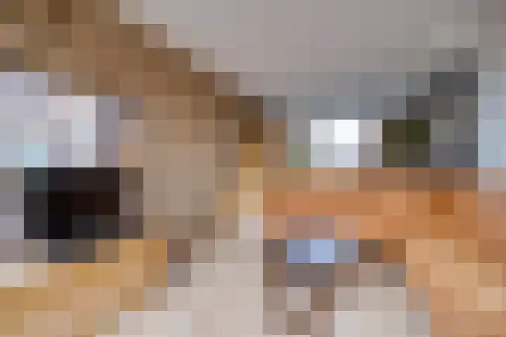 Nijhofflaan 19 Dordrecht thumbnail 7