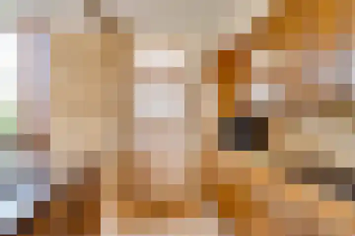 Nijhofflaan 19 Dordrecht thumbnail 8
