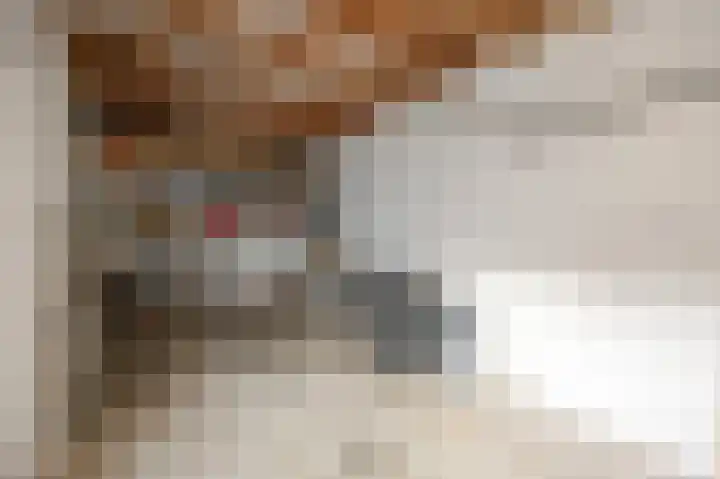 Nijhofflaan 24 Groningen thumbnail 10