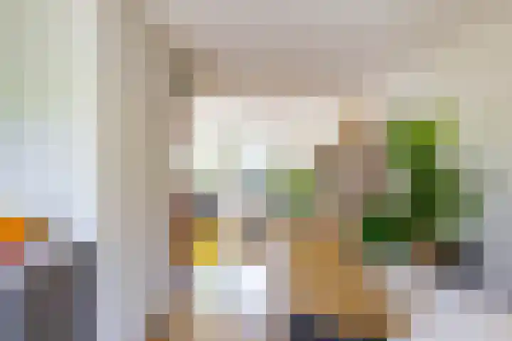 Nijhofflaan 24 Groningen thumbnail 11