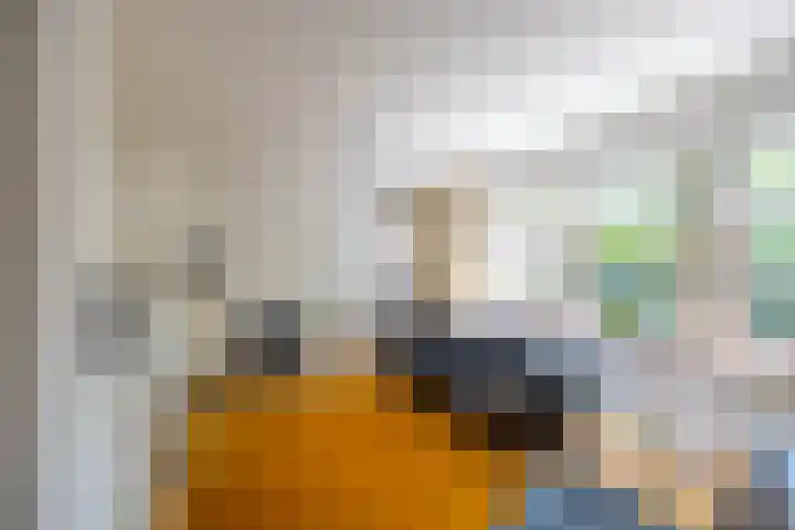 Nijhofflaan 24 Groningen thumbnail 12