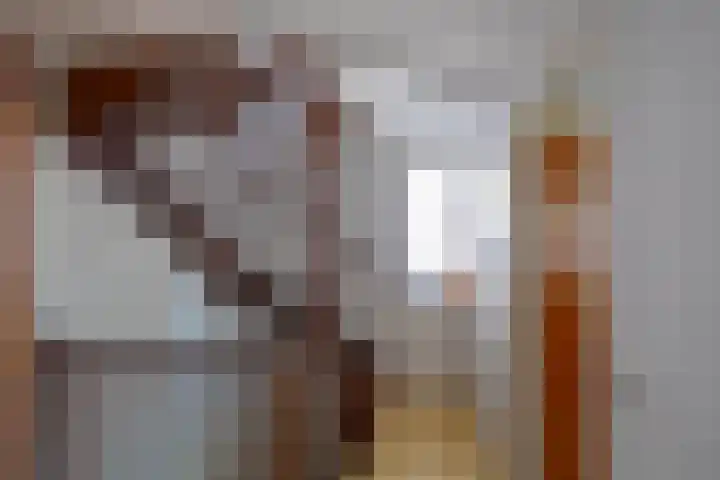 Nijhofflaan 24 Groningen thumbnail 18