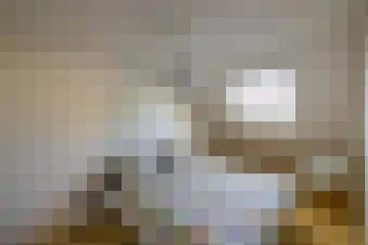 Nijhofflaan 24 Groningen thumbnail 19