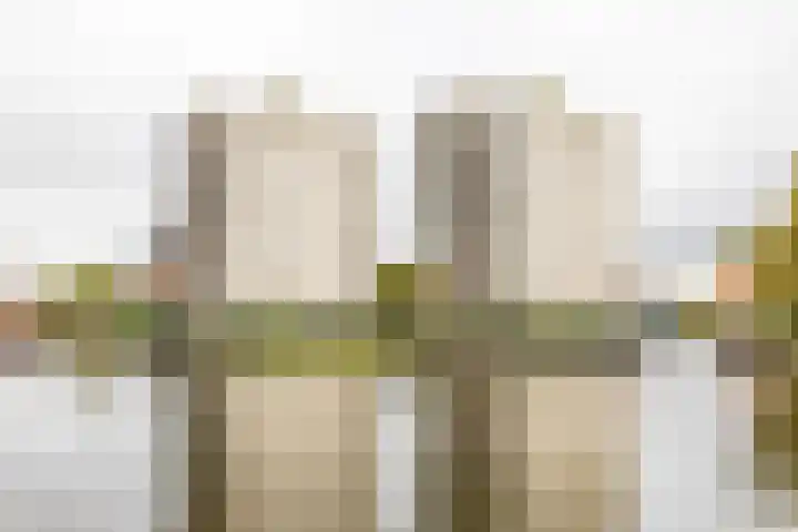 Nijhofflaan 24 Groningen thumbnail 24