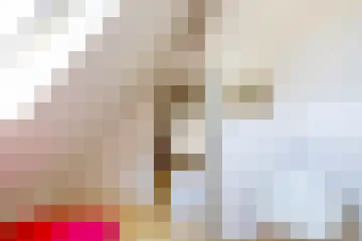 Nijhofflaan 24 Groningen thumbnail 26