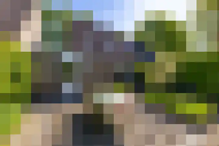 Nijhofflaan 24 Groningen thumbnail 28
