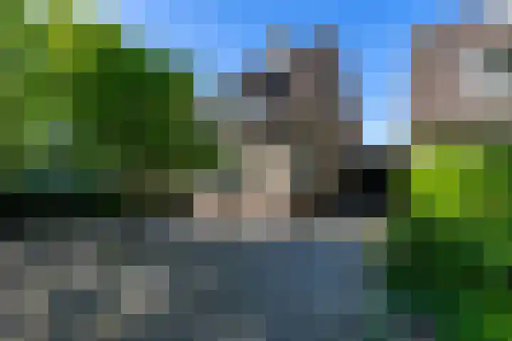 Nijhofflaan 24 Groningen thumbnail 30