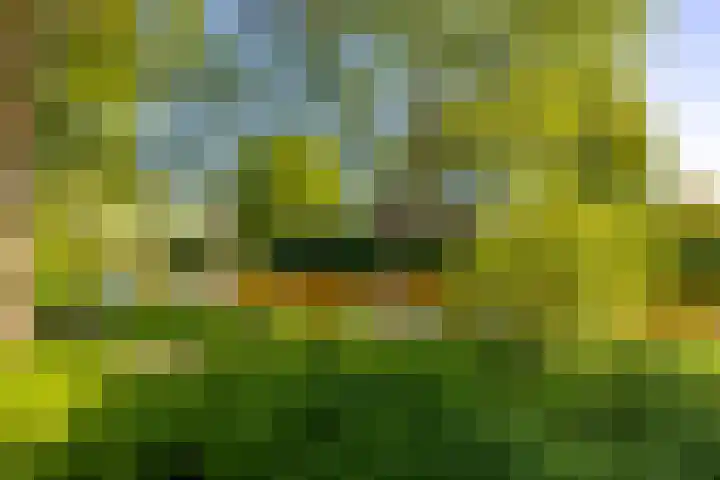 Nijhofflaan 24 Groningen thumbnail 5