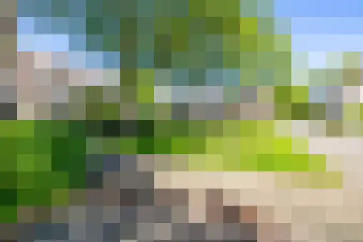 Nijhofflaan 24 Groningen thumbnail 6