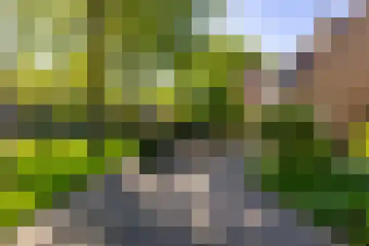 Nijhofflaan 24 Groningen thumbnail 7