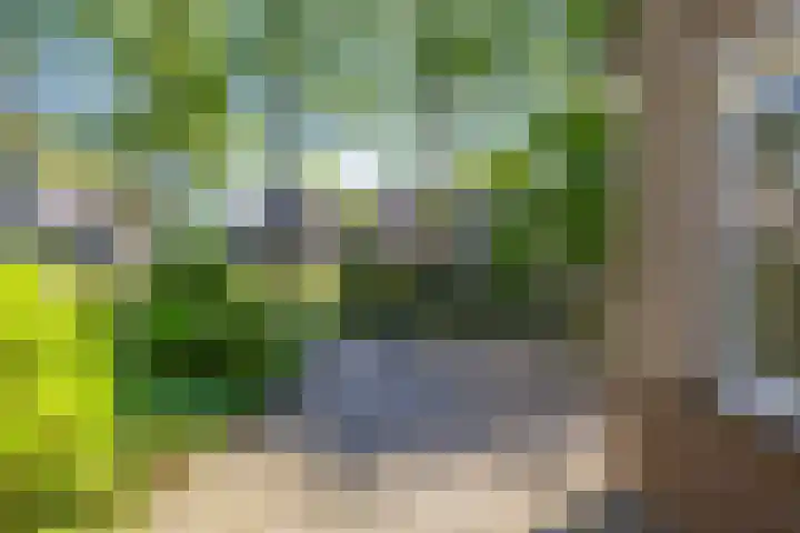 Nijhofflaan 24 Groningen thumbnail 8