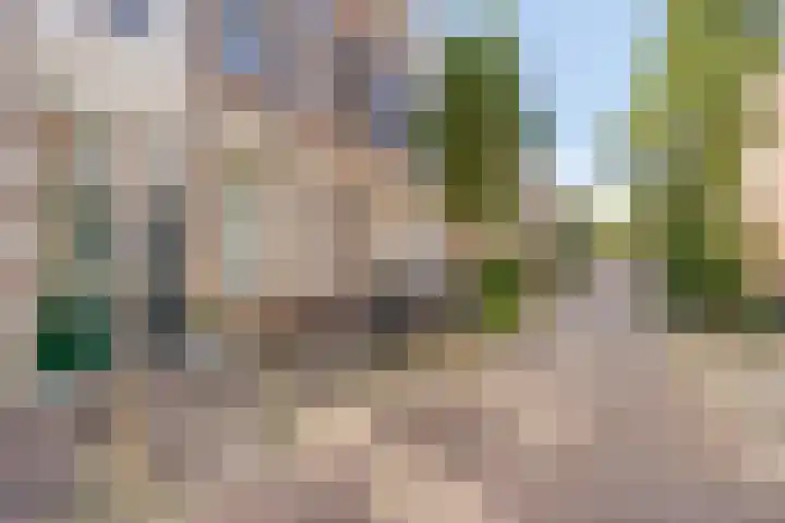 Nijhoffstraat 151 Arnhem thumbnail 6
