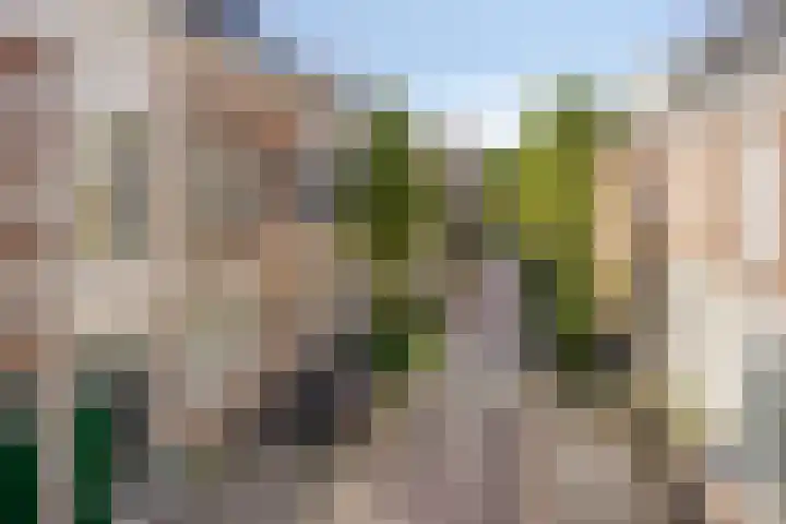 Nijhoffstraat 151 Arnhem thumbnail 7