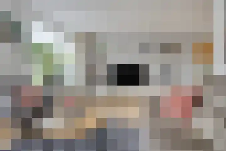 Nijlân 14 Gorredijk thumbnail 12