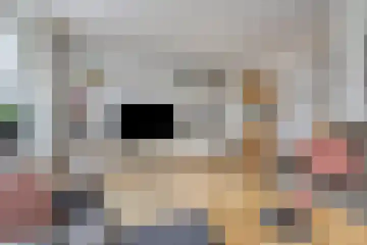 Nijlân 14 Gorredijk thumbnail 14