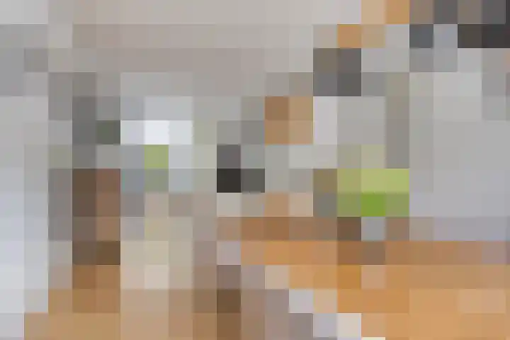 Nijlân 14 Gorredijk thumbnail 17