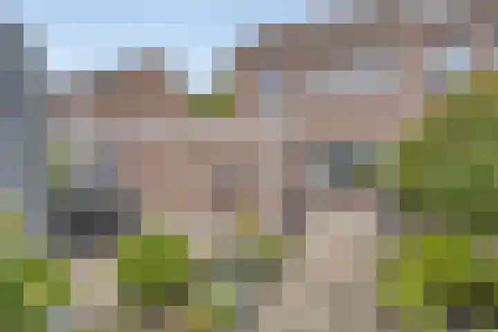 Nijlân 14 Gorredijk thumbnail 34