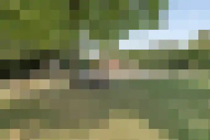 Nijlân 14 Gorredijk thumbnail 39